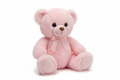 Handcrafted Teddy Bear